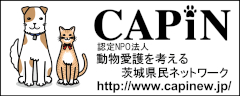 capinew-logo2_yoko240nintei.jpg